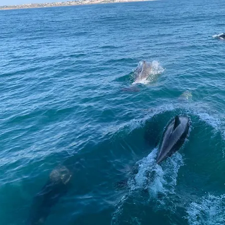 Bem-vindos Ao Vista Mar Lagos